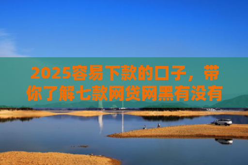 2025容易下款的口子，带你了解七款网贷网黑有没有下款口子
