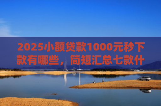 2025小额贷款1000元秒下款有哪些，简短汇总七款什么网贷秒下款新口子