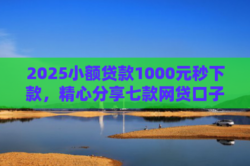 2025小额贷款1000元秒下款，精心分享七款网贷口子怎么填下款高