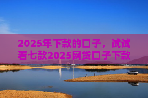 2025年下款的口子，试试看七款2025网贷口子下款的