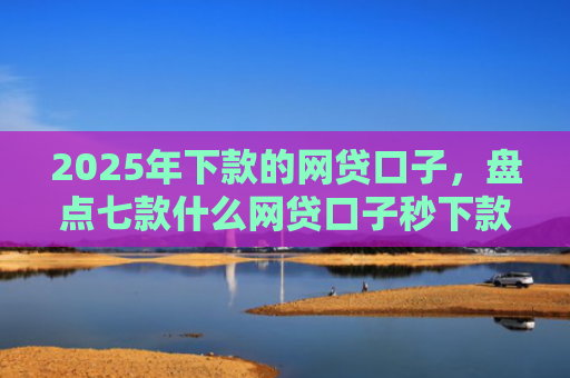 2025年下款的网贷口子，盘点七款什么网贷口子秒下款