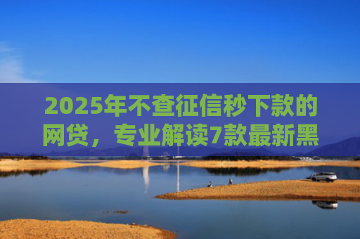 2025年不查征信秒下款的网贷，专业解读7款最新黑户网贷下款口子