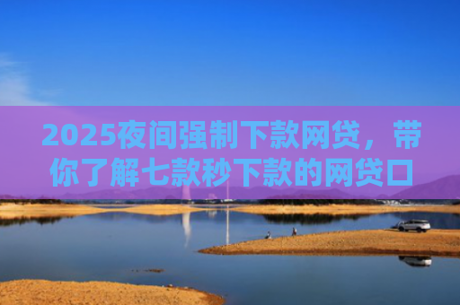 2025夜间强制下款网贷，带你了解七款秒下款的网贷口子大全