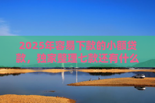 2025年容易下款的小额贷款，独家整理七款还有什么网贷口子下款