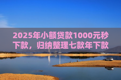 2025年小额贷款1000元秒下款，归纳整理七款年下款的网贷口子