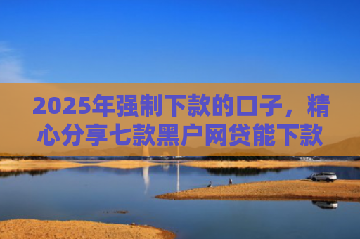 2025年强制下款的口子，精心分享七款黑户网贷能下款口子