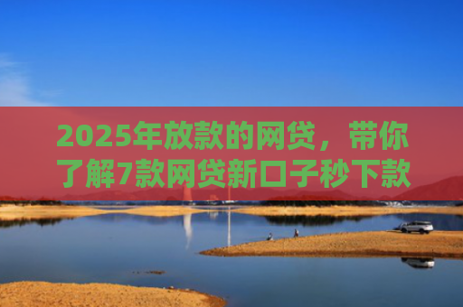 2025年放款的网贷，带你了解7款网贷新口子秒下款