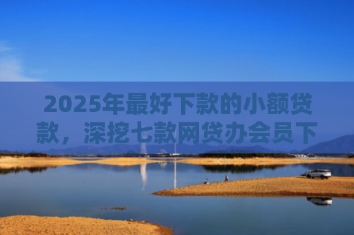 2025年最好下款的小额贷款，深挖七款网贷办会员下款口子