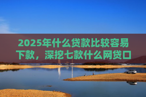 2025年什么贷款比较容易下款，深挖七款什么网贷口子容易下款