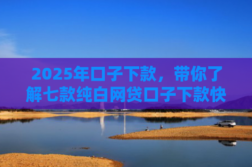 2025年口子下款，带你了解七款纯白网贷口子下款快