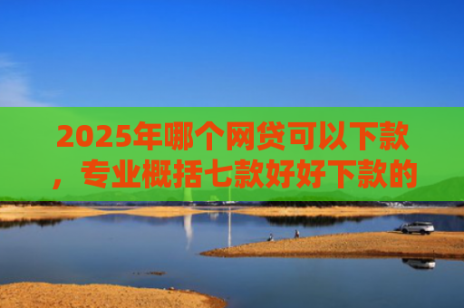 2025年哪个网贷可以下款，专业概括七款好好下款的网贷口子