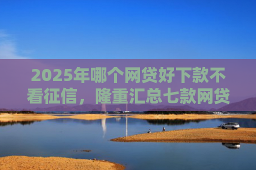 2025年哪个网贷好下款不看征信，隆重汇总七款网贷夜间下款的口子