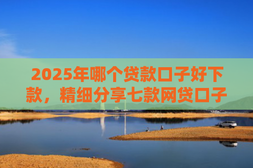 2025年哪个贷款口子好下款，精细分享七款网贷口子直接下款