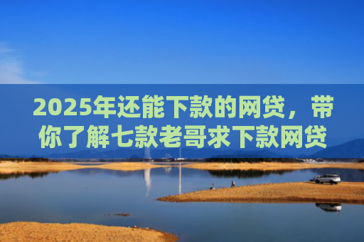 2025年还能下款的网贷，带你了解七款老哥求下款网贷口子
