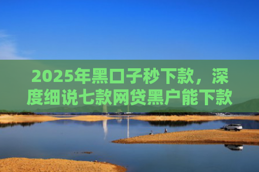 2025年黑口子秒下款，深度细说七款网贷黑户能下款口子