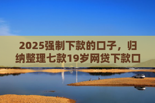 2025强制下款的口子，归纳整理七款19岁网贷下款口子