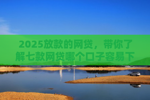 2025放款的网贷，带你了解七款网贷哪个口子容易下款