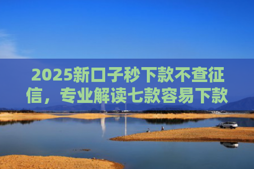 2025新口子秒下款不查征信，专业解读七款容易下款的大额网贷口子