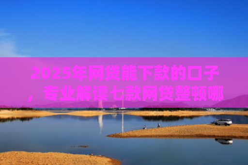 2025年网贷能下款的口子，专业解读七款网贷整顿哪些口子下款