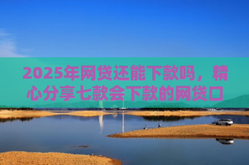 2025年网贷还能下款吗，精心分享七款会下款的网贷口子