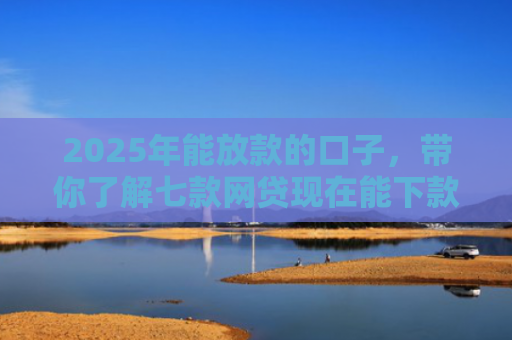 2025年能放款的口子，带你了解七款网贷现在能下款口子