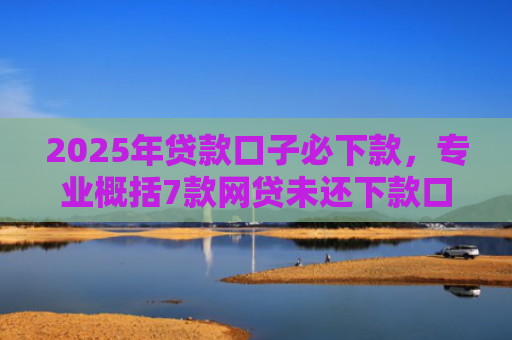 2025年贷款口子必下款，专业概括7款网贷未还下款口子
