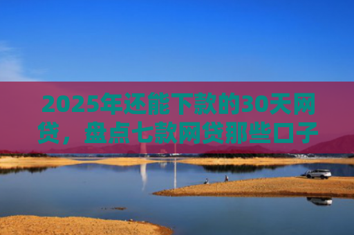 2025年还能下款的30天网贷，盘点七款网贷那些口子下款快