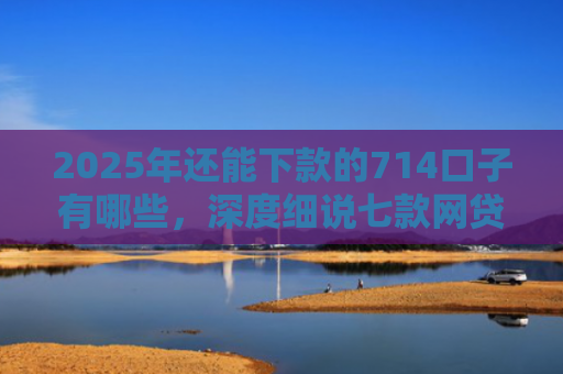 2025年还能下款的714口子有哪些，深度细说七款网贷黑户苹果下款口子