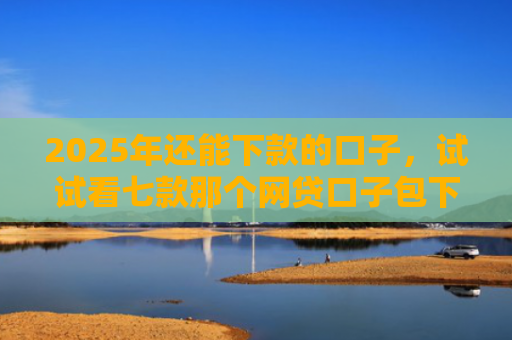 2025年还能下款的口子，试试看七款那个网贷口子包下款