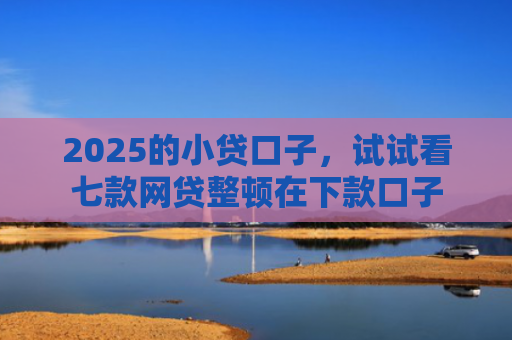 2025的小贷口子，试试看七款网贷整顿在下款口子