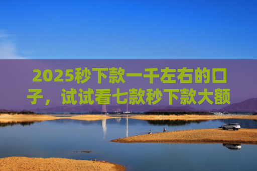 2025秒下款一千左右的口子，试试看七款秒下款大额网贷口子