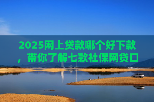 2025网上贷款哪个好下款，带你了解七款社保网贷口子那个下款快