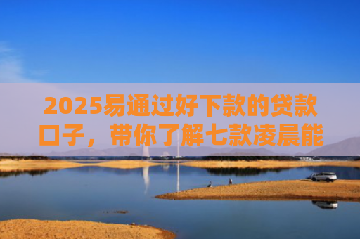 2025易通过好下款的贷款口子，带你了解七款凌晨能下款的网贷口子