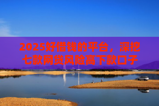 2025好借钱的平台，深挖七款网贷风险高下款口子