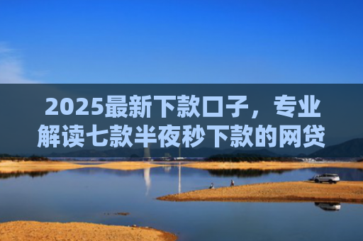 2025最新下款口子，专业解读七款半夜秒下款的网贷口子