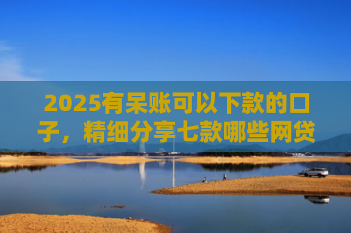 2025有呆账可以下款的口子，精细分享七款哪些网贷口子好下款的