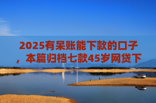 2025有呆账能下款的口子，本篇归档七款45岁网贷下款的口子