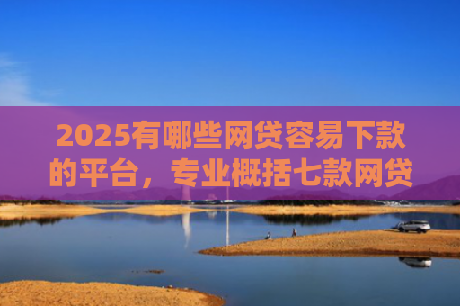 2025有哪些网贷容易下款的平台，专业概括七款网贷买会员必下款口子