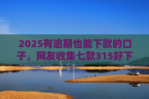2025有逾期也能下款的口子，网友收集七款315好下款的网贷口子