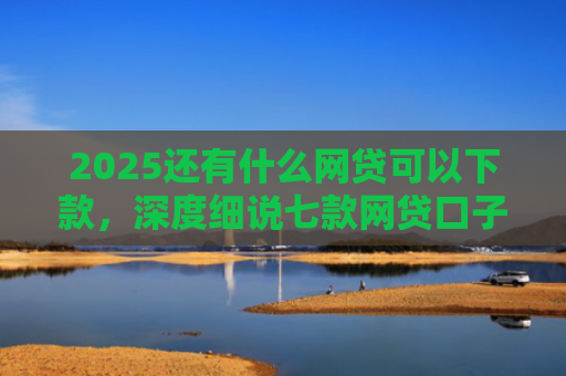 2025还有什么网贷可以下款，深度细说七款网贷口子下款快容易