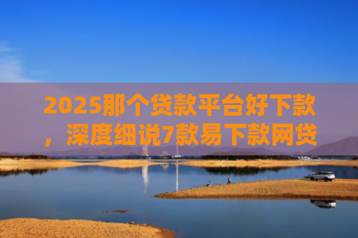2025那个贷款平台好下款，深度细说7款易下款网贷口子排名