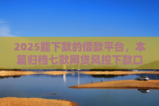2025能下款的借款平台，本篇归档七款网贷风控下款口子