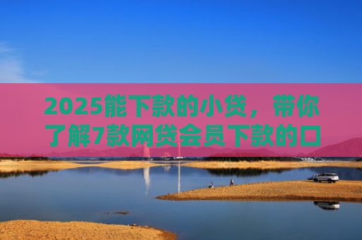 2025能下款的小贷，带你了解7款网贷会员下款的口子
