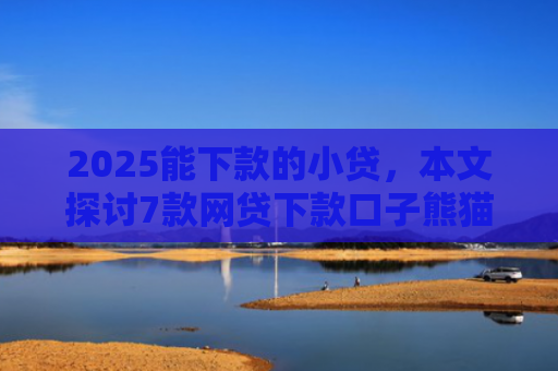 2025能下款的小贷，本文探讨7款网贷下款口子熊猫应急