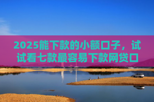 2025能下款的小额口子，试试看七款最容易下款网贷口子