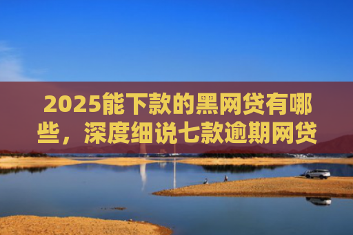 2025能下款的黑网贷有哪些，深度细说七款逾期网贷下款贷款口子