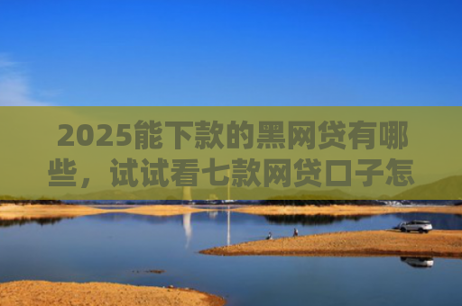 2025能下款的黑网贷有哪些，试试看七款网贷口子怎么好下款