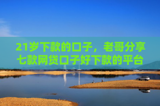 21岁下款的口子，老哥分享七款网贷口子好下款的平台