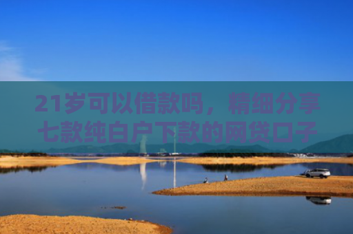 21岁可以借款吗，精细分享七款纯白户下款的网贷口子