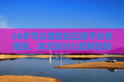 20岁可以借款的正规平台有哪些，本文探讨七款网贷新口子秒下款吗